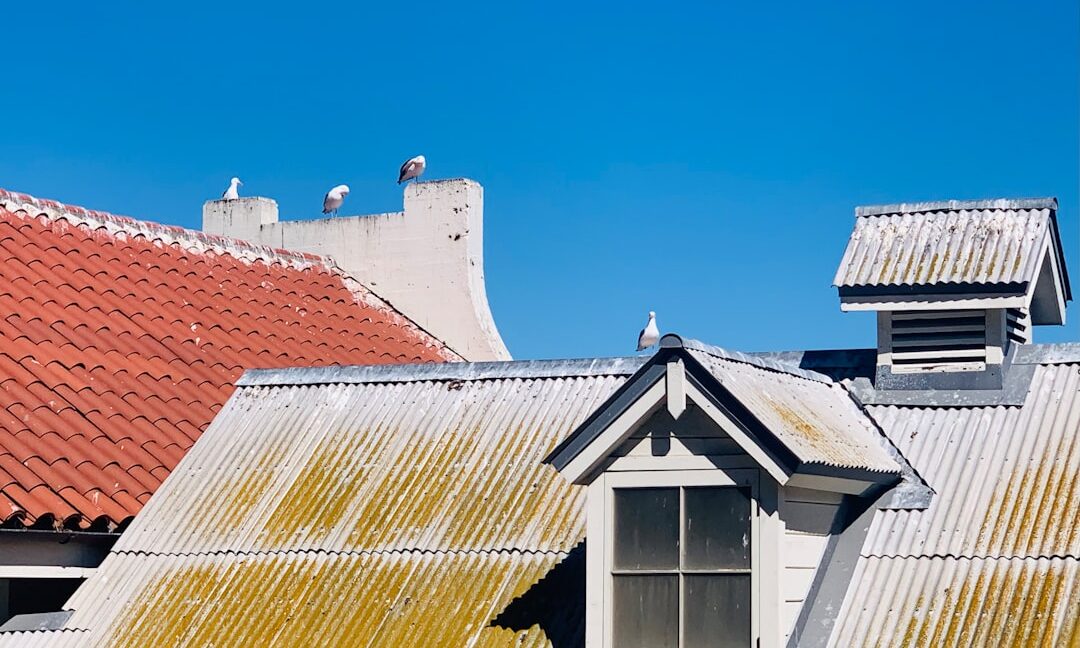 Professional construction worker in safety gear installing new architectural shingles on the roof of a residential home on...